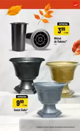 Polomarket gazetka tydzień 42 Strona 5: Wkład do flakonu €3,99, Gazon Dalia €9,99