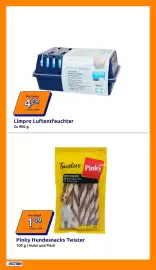 Action Flugblatt woche 42 Seite 16