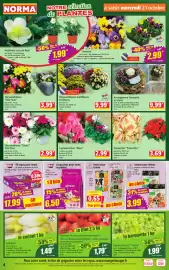 Catalogue Norma semaine 43 page 4: Arrangement Toussaint €9,99, Whiskas 60 repas pour chats €17,99