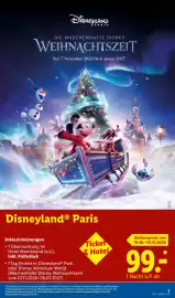 Lidl Reisen Prospekt Seite 3: DISNEYLAND DIE MÄRCHENHAFTE DISNEY WEIHNACHTSZEIT Von 7. November 2026 bis 6. Januar 2027