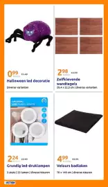 Action folder week 42 Pagina 33: Grundig led-druklampen €2,69, Velours badlaken €4,99