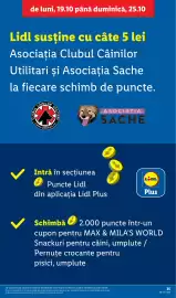Catalog Lidl săptămâna 43 Pagină 35