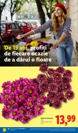 Catalog Lidl săptămâna 43 Pagină 46: Buchet crizanteme €13,99