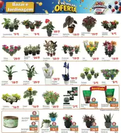 Catálogo Supermercados Condor Página 27: Lírio €39,90, Cache-pô Tocatta €56,90