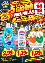 Volantino A Casa Mia Pagina 12