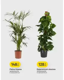 Castorama gazetka tydzień 42 Strona 12