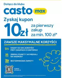 Castorama gazetka tydzień 42 Strona 17