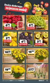 Netto gazetka Strona 5: Śliwka luz €4,99, Kiwi Gold €3,99