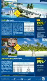 Lidl Flugblatt Seite 11