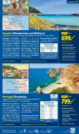 Lidl Flugblatt Seite 15