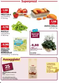 Volantino Unicoop Pagina 4: Mix anacardi e arachidi Coop €25,00, Ciclamino €8,88