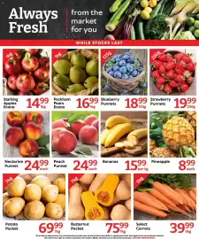 Oxford Freshmarket catalogue week 42 Page 3: Peach Punnet €24,99, Blueberry Punnets €18,99