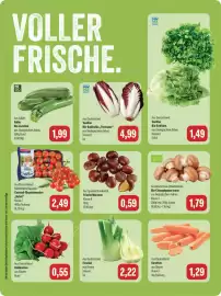 Feneberg Prospekt woche 43 Seite 8: Frische Maronen €0,59, Bio-Champignons braun €1,79