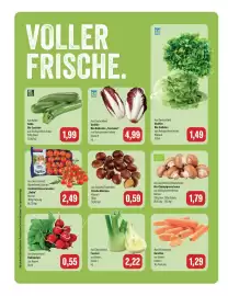 Feneberg Prospekt woche 43 Seite 8