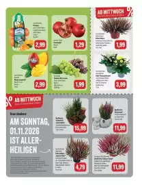Feneberg Prospekt woche 43 Seite 9