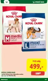 Maxi Zoo tilbudsavis Side 3: Royal Canin Adult €499,00