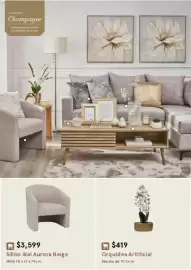 Catálogo Coppel Página 30