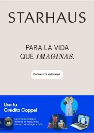 Catálogo Coppel Página 61