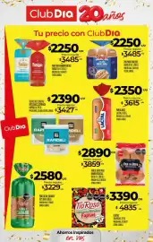 Folleto Supermercados DIA semana 42 Página 18: Fango pan para panchos €2.250,00, Rey oro pan salvado €2.580,00