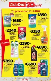 Folleto Supermercados DIA semana 42 Página 31: Ayudin desinfectante multisuperficies expert €1.850,00