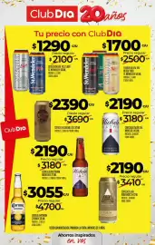 Folleto Supermercados DIA semana 42 Página 32: Andes origen rubia €2.190,00