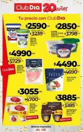 Folleto Supermercados DIA semana 42 Página 37: Festa polpetta €4.490,00, Danette postre sabor chocolate €3.885,00