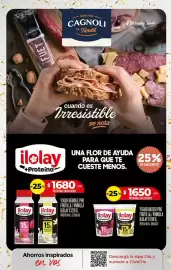 Folleto Supermercados DIA semana 42 Página 5: CAGNO GENUINO CAGNOLI DE Tandil FUET OL TAM cuando es Irresistible se nota