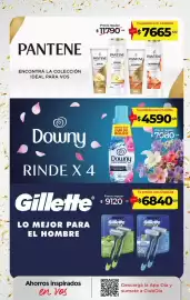 Folleto Supermercados DIA semana 42 Página 7: Pantene €7.665,00, Gillette prestobarba 3 €6.840,00