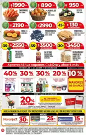 Folleto Supermercados DIA semana 42 Página 8: Día palmitos enteros / en trozos €1.999,00
