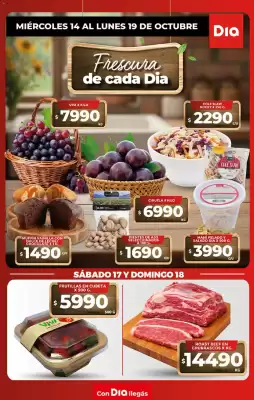 DIA (válido hasta 19-10)