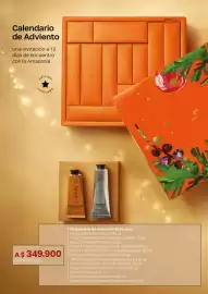 Catálogo Natura Página 22