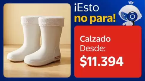Catálogo Lider Página 11: Calzado €11.394,00