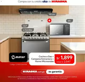Catálogo Hiraoka Página 6