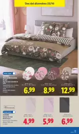 Catálogo Lidl semana 43 Página 31: Mides €6,99, Mides aprox. 140-160 x 200 cm €5,99
