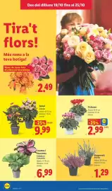 Catálogo Lidl semana 43 Página 52