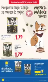 Catálogo Lidl | Canarias Página 22