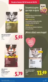 Catálogo Lidl | Canarias Página 23