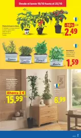 Catálogo Lidl | Canarias Página 25