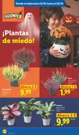 Catálogo Lidl | Canarias Página 26