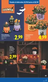 Catálogo Lidl | Canarias Página 27