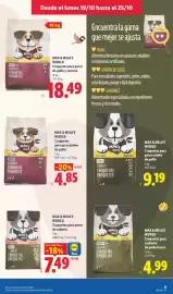 Catálogo Lidl semana 43 Página 27