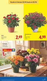 Catálogo Lidl semana 43 Página 53
