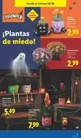 Catálogo Lidl semana 42 Página 33
