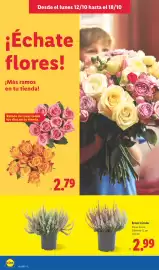 Catálogo Lidl semana 42 Página 54
