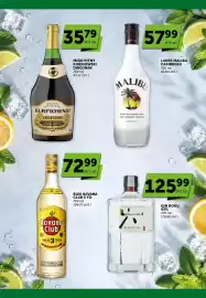 Groszek gazetka | Alkohole Strona 5