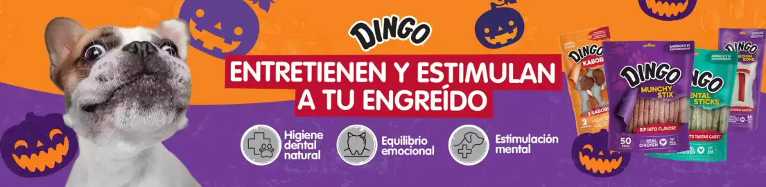 Catálogo Superpet Página 1