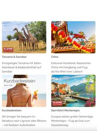 Springer Reisen Katalog Seite 2