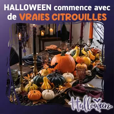 Trafic (valable jusqu'au 18-10)
