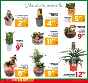 Catalogue Trafic page 12: KALANCHOE €8,99, COMPOSITION DE PLANTES €11,99