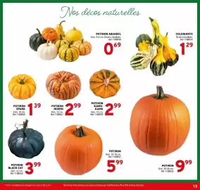Catalogue Trafic page 13: POTIRON €9,99, COLOQUINTE €1,29